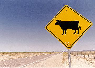 在Xbox Showcase、Tribeca Festival以及更多活动上聚焦《瘟疫传说：安魂曲》